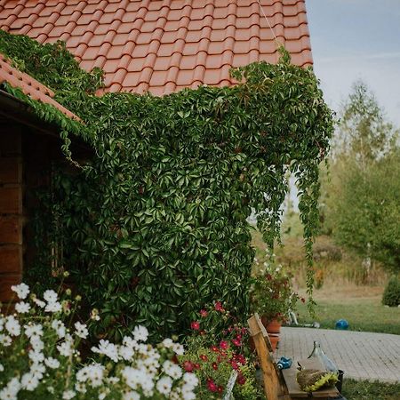 Dom Goscinny Sowia Stopka Miłomłyn エクステリア 写真