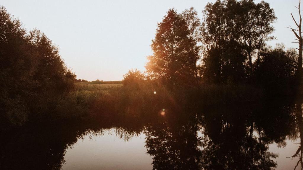 Dom Goscinny Sowia Stopka Miłomłyn エクステリア 写真