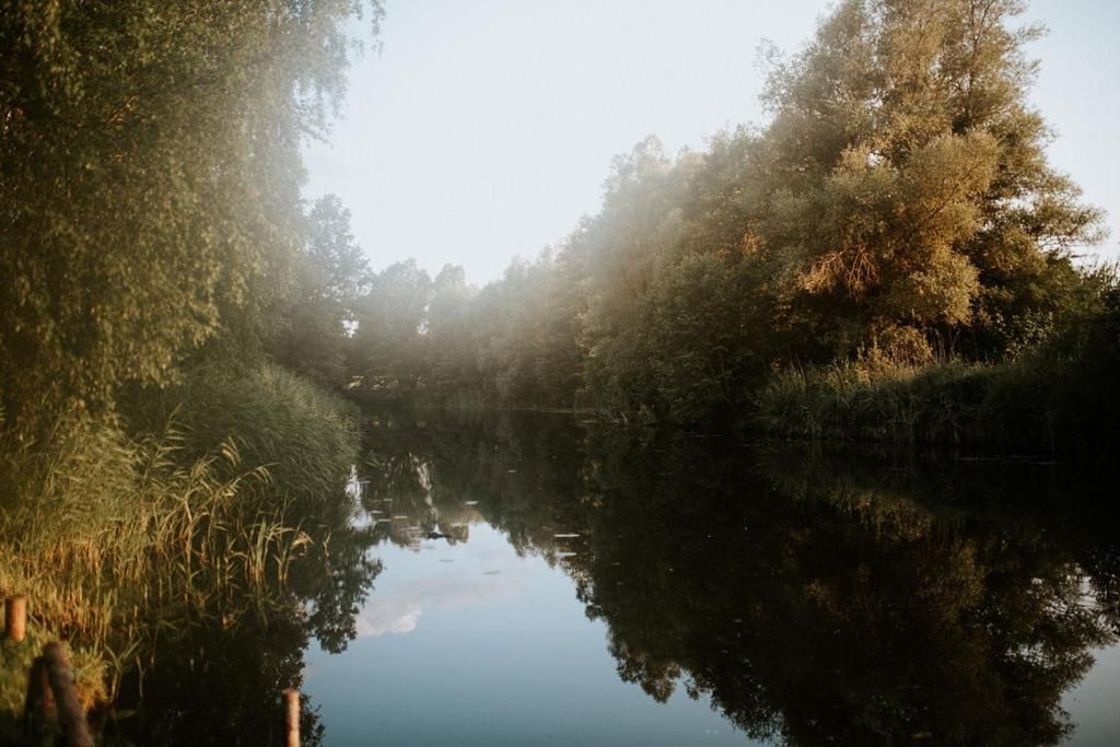 Dom Goscinny Sowia Stopka Miłomłyn エクステリア 写真